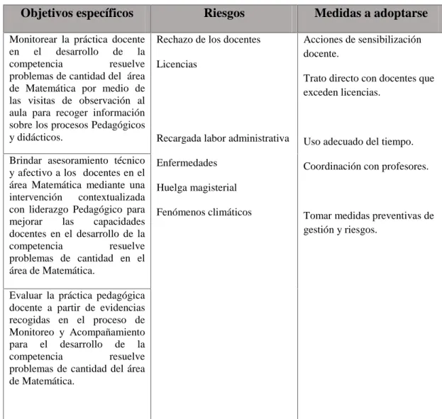 Figura 6. Riesgos y medidas a adoptarse del Plan de Acción.