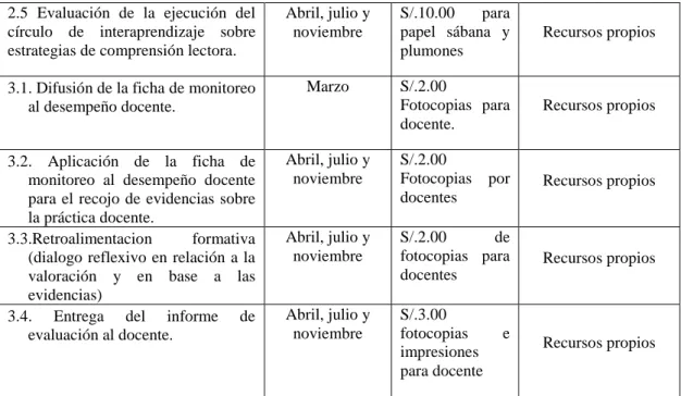 Figura 10.  Presupuesto de Plan de Acción.
