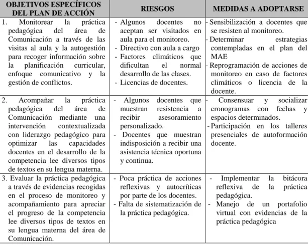 Figura 6. Riesgos y medidas a adoptarse en el Plan de Acción. 