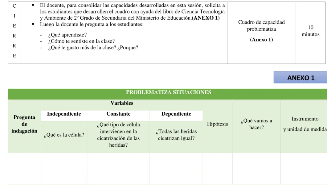 Cuadro de capacidad problematiza