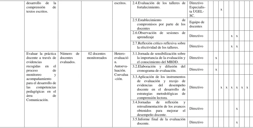 Figura 4.  Matriz del Plan de Acción. 