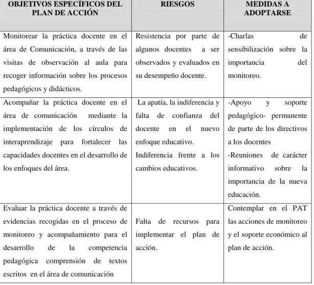 Figura 6.  Riesgos y medidas a adoptar en  el Plan de Acción . 