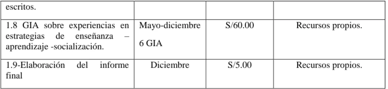 Figura 7. Presupuesto del plan de acción. 