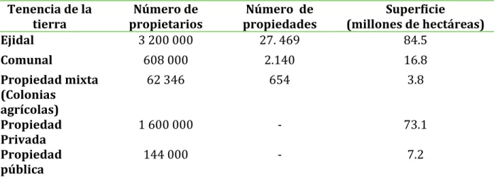 Tabla 3. Tenencia de la tierra ejidal, comunal y mixta. 
