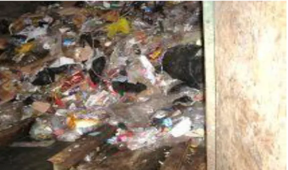 Foto 10. Botadero de basura fuera del mercado  