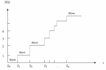 Fig. 1.1 Tayectorias del proceso N en la recta real.