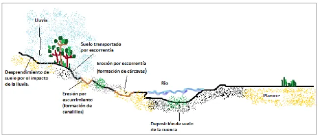 Figura 3. Erosión en una cuenca 