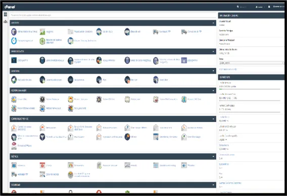 Figura N° 01 Plataforma administrativa CPANEL