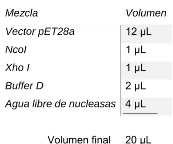 Tabla 2.Condiciones de digestión para el gen BoIFN-γ. 