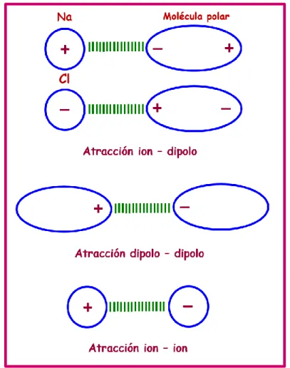 Fig. 1 Representación de las interacciones electrostáticas. 