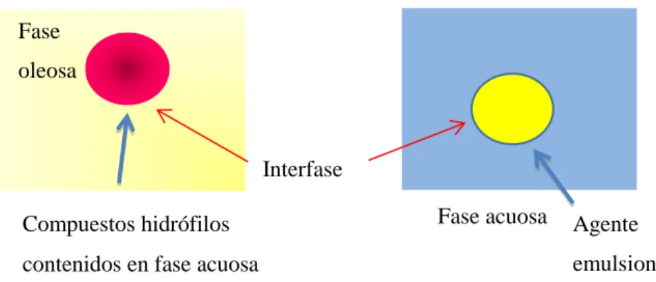 Fig. 1. Diagrama general que ilustra la estructuración de sistemas aceite-agua y agua-aceite