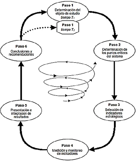 Figura 4. Ciclo de evaluación 