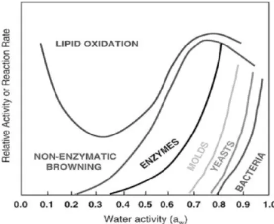 Figure 1-1. The reaction rate of the different microorganisms and processes in  agricultural products as a function of water activity (Labuza, 1977)