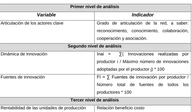 Cuadro 5.1 Niveles de análisis del estudio 
