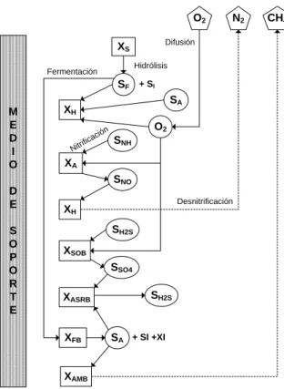 Figura 3.12. Esquema de componentes y procesos integrados en el modelo CWM1 (Adaptado  de Langergraber et al