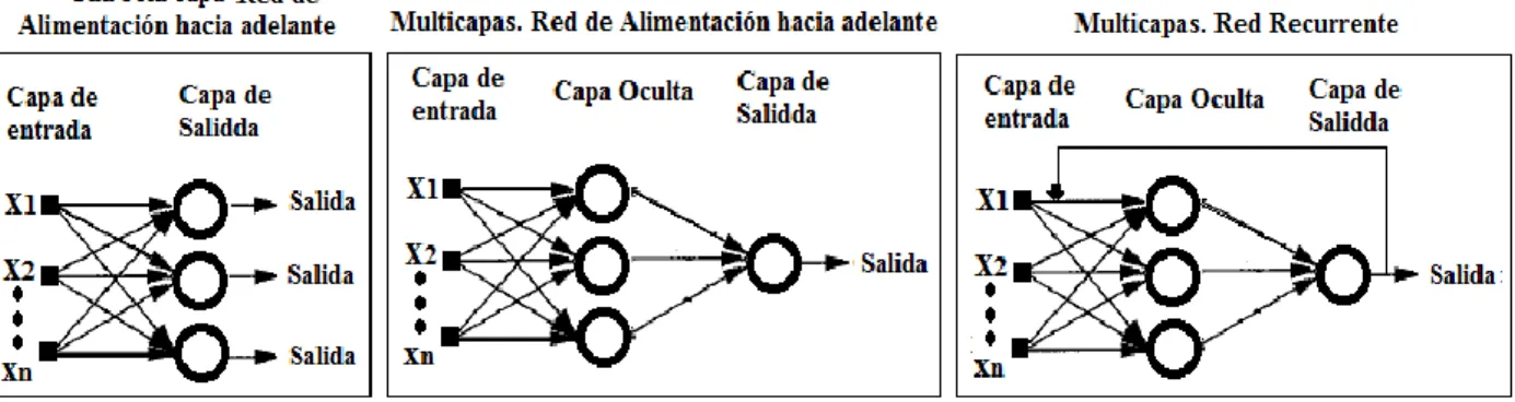 Figura 4. Arquitecturas más comunes en las redes neuronales 