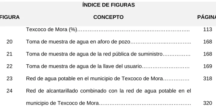 FIGURA  CONCEPTO  PÁGINA 