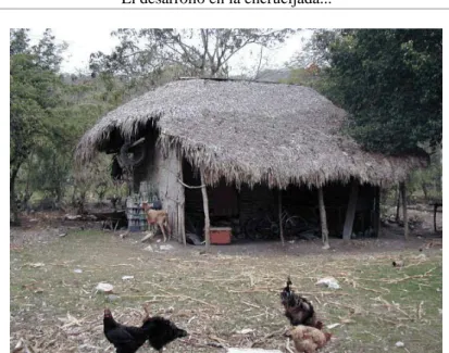 Foto 3. Cómo hablar de desarrollo en estas condiciones. 