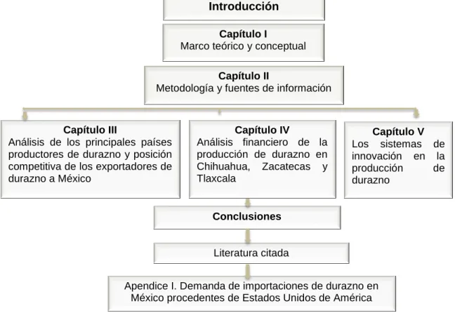 Figura 1. Estructura de la tesis. 