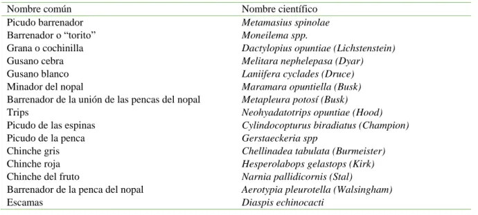 Cuadro 5. Principales plagas en nopal. 