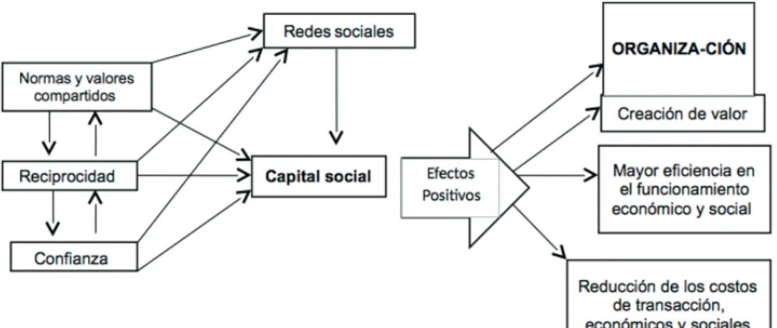 Figura 4. Componentes conceptuales del capital social. 