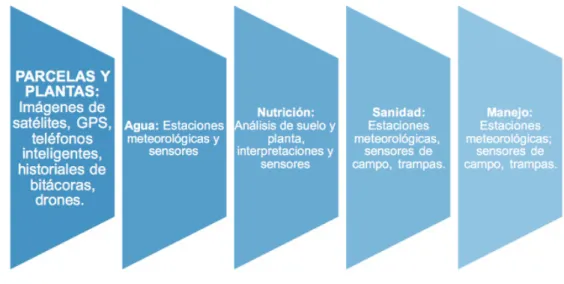 Cuadro 7. Índice de fructificación del mango (Modificado de Avilan, 2000).