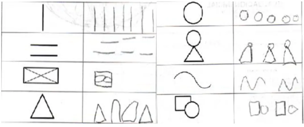 Figura 9. Viso percepción. 