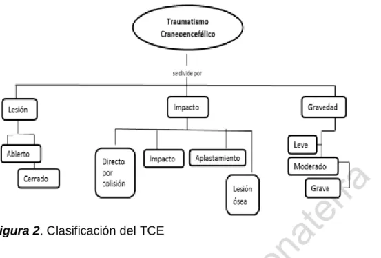 Figura 2. Clasificación del TCE 