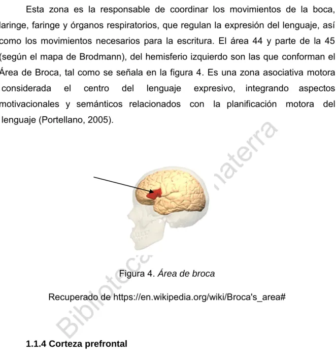 Figura 4.  Área de broca 