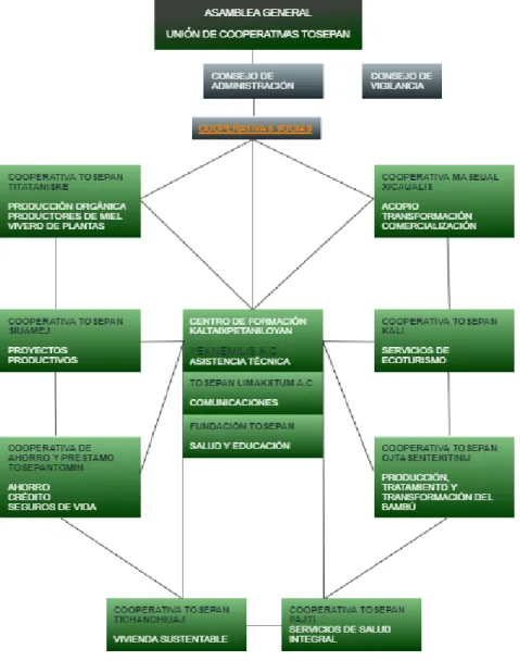 Figura 2. Esquema de la Unión de Cooperativas Tosepan 