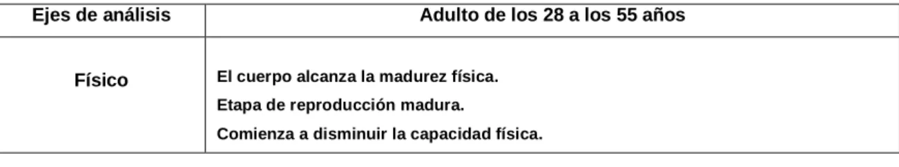 CUADRO DE ETAPAS EVOLUTIVAS 
