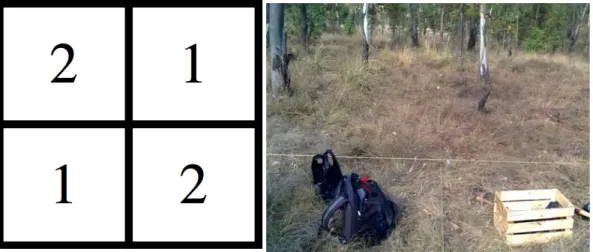 Cuadro  4.  Tipo  de  muestra  y  descripción.  