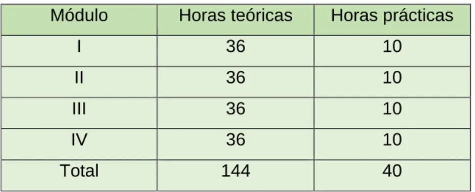 Tabla 8. Horas teóricas y prácticas. 