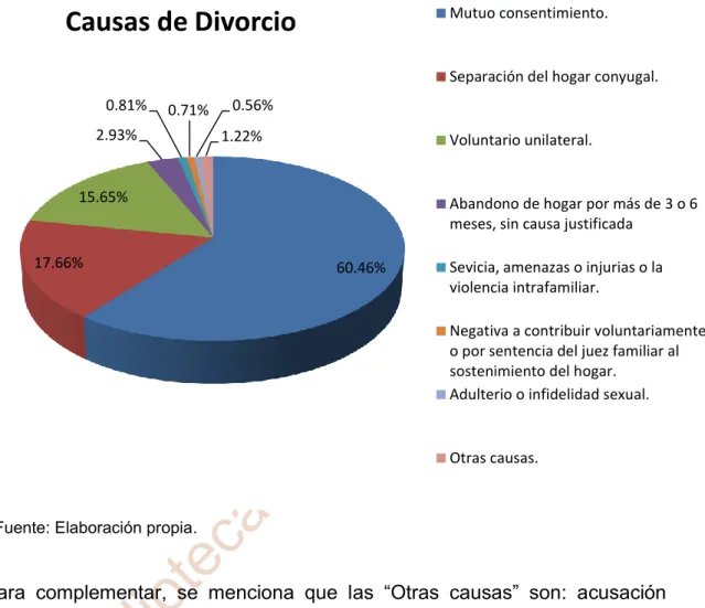 Figura 6: Principales causas de divorcio 