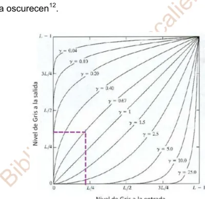 Fig. 2.5 Corrección de gamma γ 12 . 