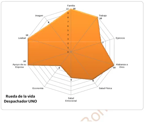 Figura 5. Rueda de la Vida: Participante 1 