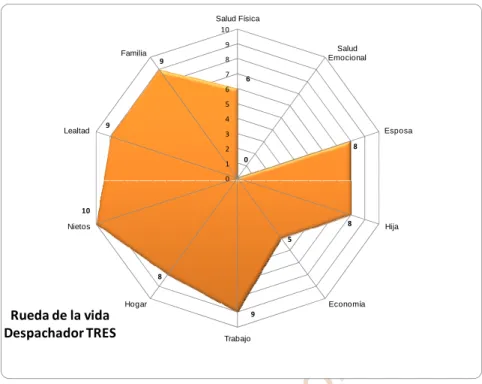 Figura 7 Rueda de la Vida: Participante 3 