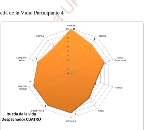 Figura 8. Rueda de la Vida: Participante 4 