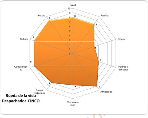 Figura 9. Rueda de la Vida: Participante 5 