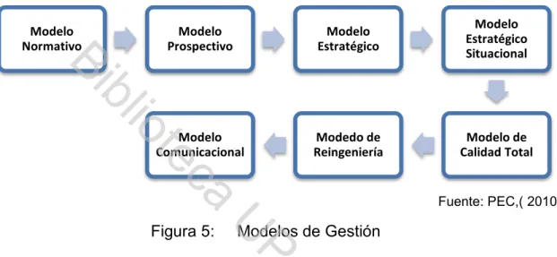 Figura 5:     Modelos de Gestión 