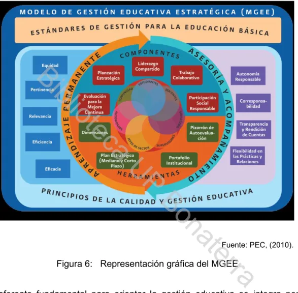 Figura 6:   Representación gráfica del MGEE 