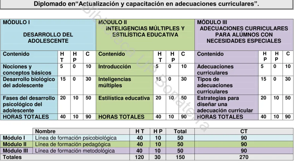 Mapa curricular y carga horaria. 