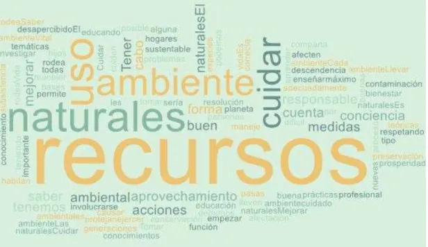 Figura 24. Nube de palabras EA 