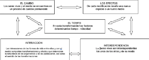 Tabla 2. Componentes básicos del terreno ambiental 