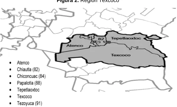 Figura 2. Región Texcoco 
