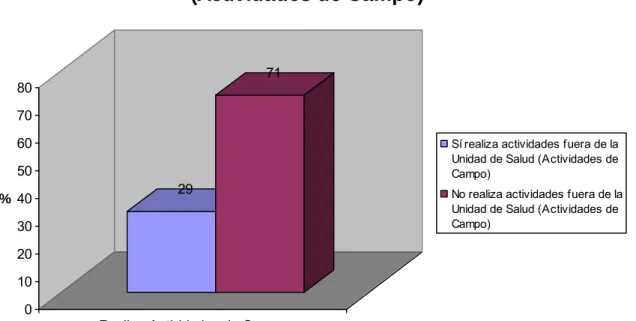 Gráfico No. 13 