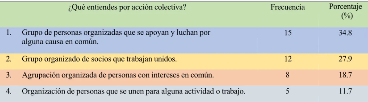 Cuadro  10. Conocimientos sobre lo qué es la acción colectiva 