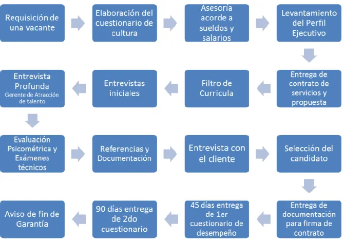 Figura 3. Proceso de Atracción de Talento BTH. 