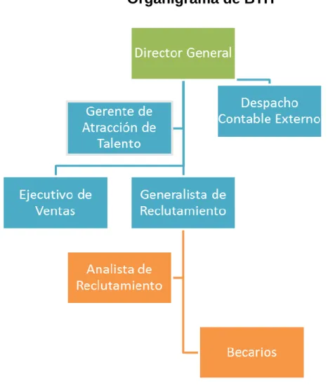 Figura 1. Organigrama BTH.