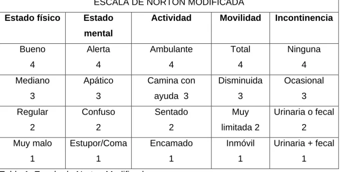 Tabla 1. Escala de Norton Modificada 